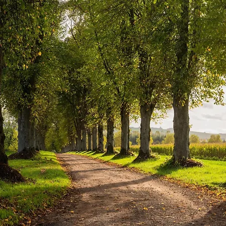 Adjoining A Chateau *