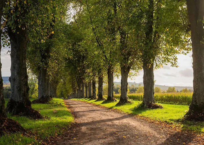 Adjoining A Chateau *